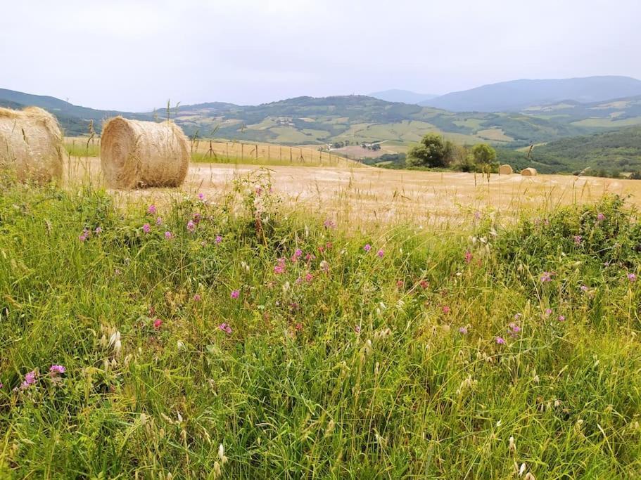 Casa Contadina In Borgo Medievale, Tuscany Monteguidi Экстерьер фото